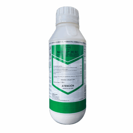 NATIVO 30 SC