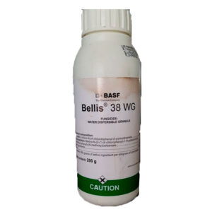 Bellis® 38 WG