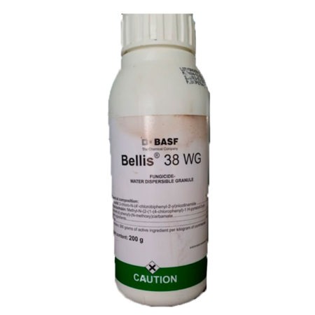 Bellis® 38 WG