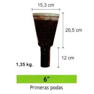 Palines de 6"