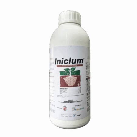 INICIUM